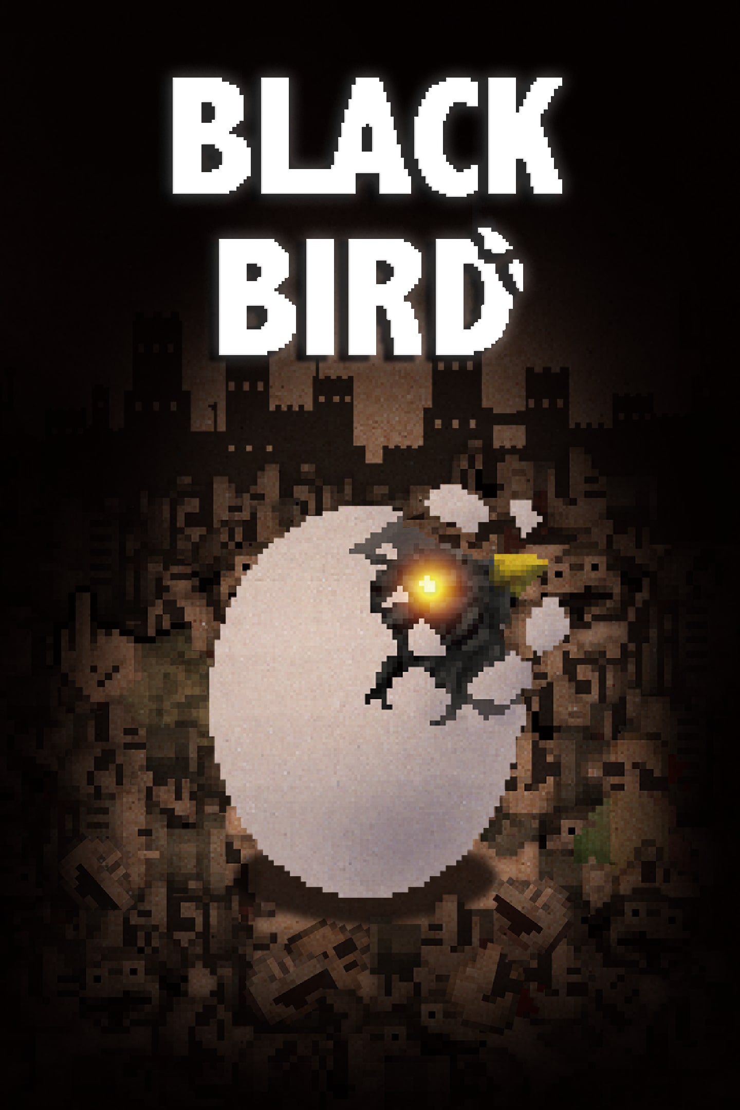 jaquette du jeu vidéo BLACK BIRD