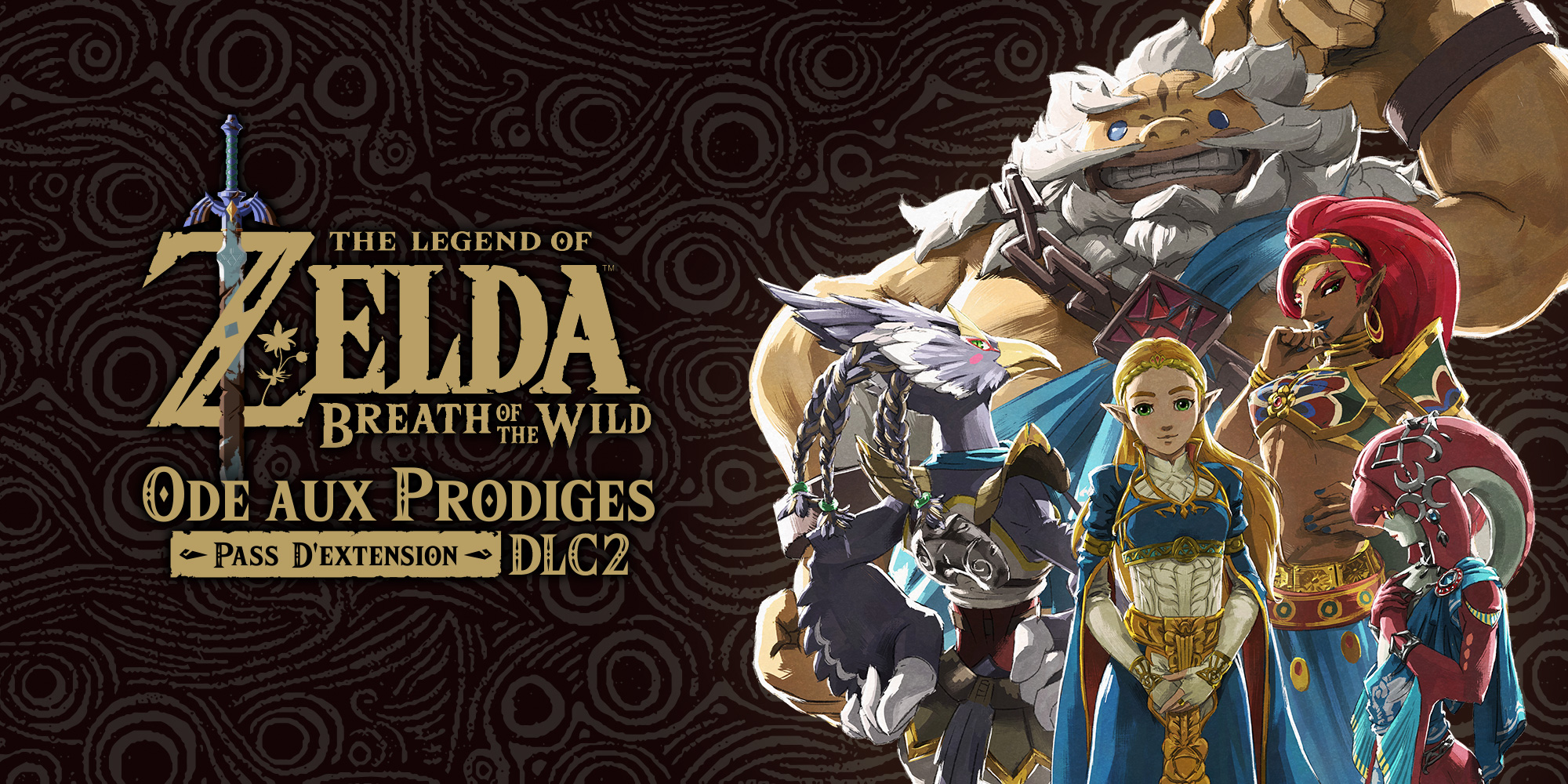 jaquette du jeu vidéo The Legend of Zelda : Breath of the Wild - L'Ode aux Prodiges