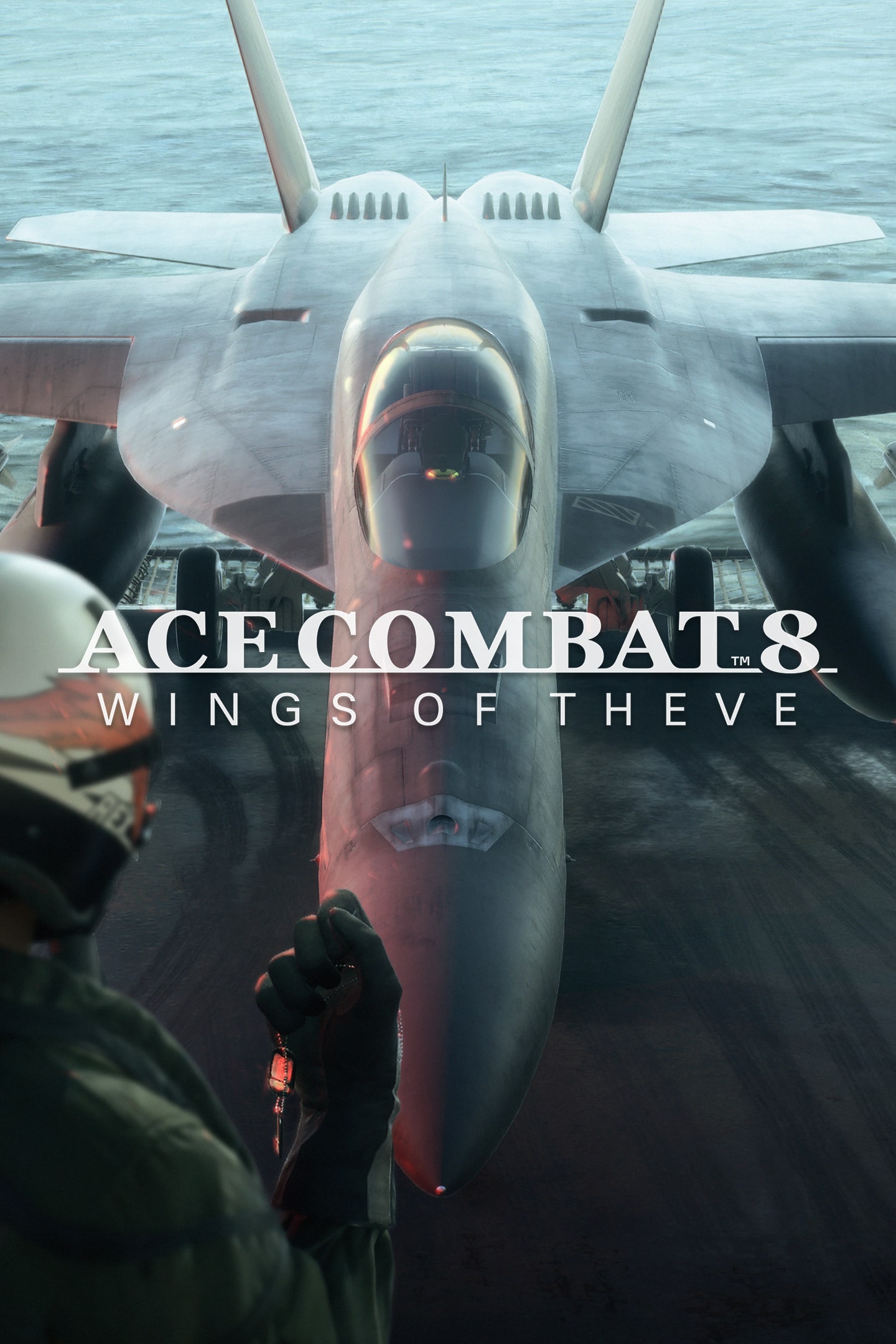 jaquette du jeu vidéo Ace Combat 8 : Wings of Theve