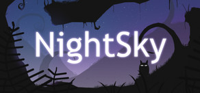 jaquette du jeu vidéo NightSky