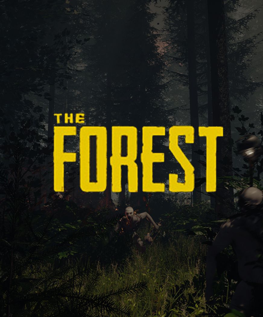 jaquette du jeu vidéo The Forest