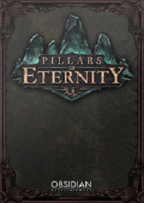 jaquette du jeu vidéo Pillars of Eternity