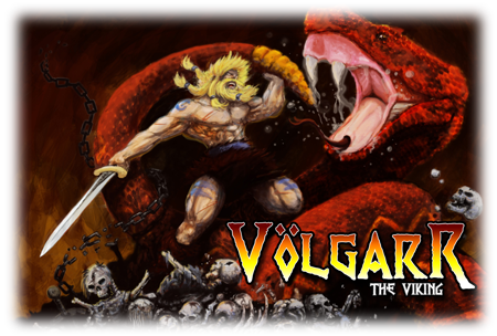jaquette du jeu vidéo Volgarr the Viking