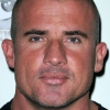 portrait Dominic Purcell