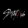 portrait  Stray Kids