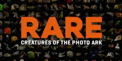 Rare: Creatures of the Photo Ark