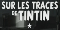 Sur les traces de Tintin