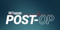 Grey's Anatomy: Post-op (webisodes)