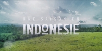 Une saison en Indonésie