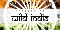 Destination Wild : Inde (Secrets of Wild India)