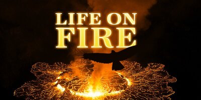 Life on Fire: Wildlife on the Volcano's Edge