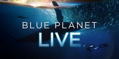 Blue Planet Live