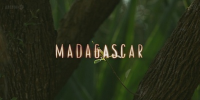 Madagascar, le monde perdu (Madagascar)