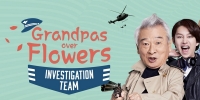 Grandpas Over Flowers Investigation Team (Kkochalbae susadae)