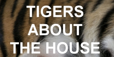Tigers About the House