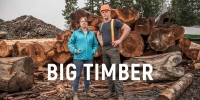 Big Timber