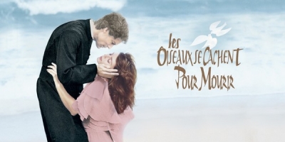 Les oiseaux se cachent pour mourir