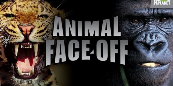 Animal Face-Off - Seriebox
