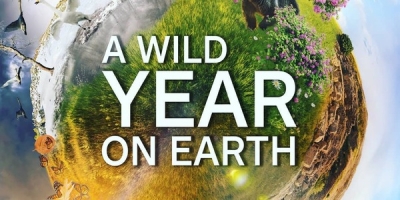 A Wild Year On Earth