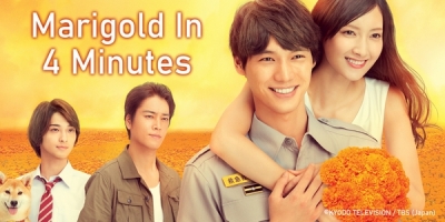 Marigold in 4 Minutes