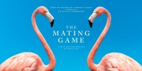 Planète Animale : Les jeux de l'amour (The Mating Game)