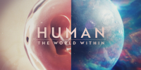 Human: The World Within