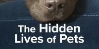 Dans la peau de nos animaux (The Secret Life of Our Pets)
