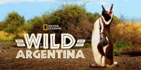 Destination Wild : Argentine (Wild Argentina)