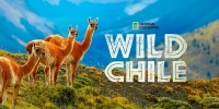 Destination Wild : Chili (Wild Chile)