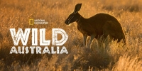 Destination Wild : Australie (Wild Australia)