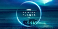 Terres de glace II (Frozen Planet II)