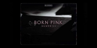 Born Pink: Memories