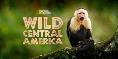 Wild Central America