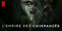 L'Empire des chimpanzés (Chimp Empire)