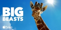 Big Beasts : sur les traces des géants (Big Beasts)