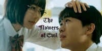 The Flowers of Evil (Aku no Hana (2026))