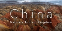 Chine, terre sauvage (China: Nature's Ancient Kingdom)