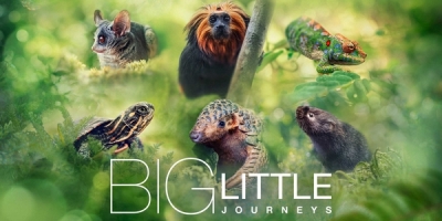 Big Little Journeys
