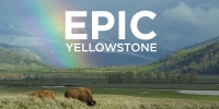 Yellowstone - Nature extrême (Epic Yellowstone)