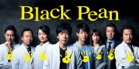 Black Pean