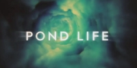 Pond Life (Webisodes)