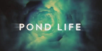 Pond Life (Webisodes)