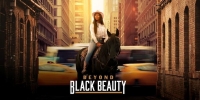 Beyond Black Beauty