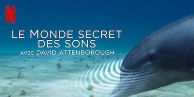 Le monde secret des sons avec David Attenborough