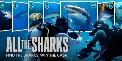 All the Sharks : Trouvez-les tous !