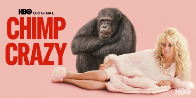 Chimp Crazy