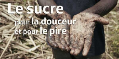 Le sucre, pour la douceur et pour le pire