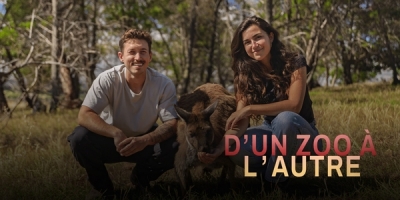 D'un zoo à l'autre