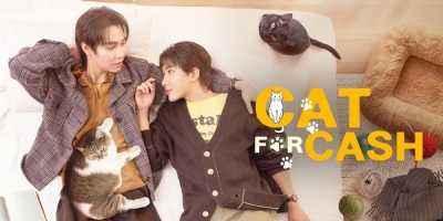 Cat for Cash