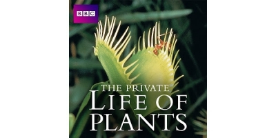 The Private Life of Plants